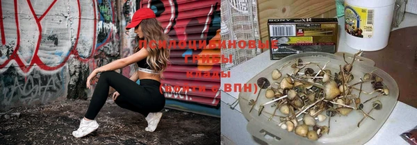 эйфоретик Медногорск