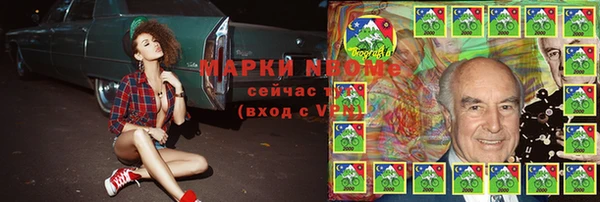 крисы Абаза